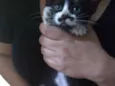 Charlie
