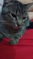 Mel