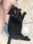 Tom