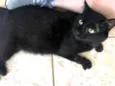 Tom