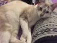 Pablo