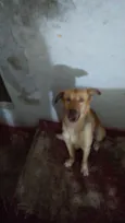Bob