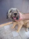foi encontrado rua