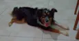 Benedito