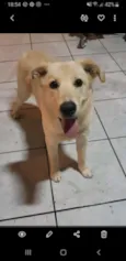 Julieta