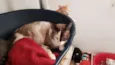 Lilian
