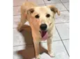 Julieta
