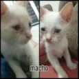 Não coloquei nome