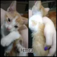 Não coloquei nome