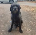 Lola 
