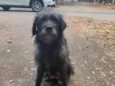 Lola 