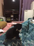 Tom