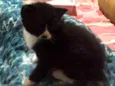 Tom