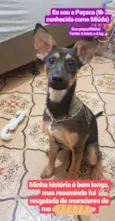 Miuda ou Pacoca