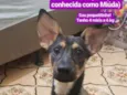 Miuda ou Pacoca