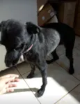 Neguinha