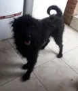 Neguinha