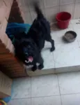 Neguinha
