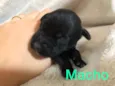 Nao tem