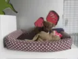 Rob
