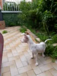 Bolt