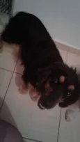 Linda 