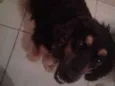 Linda 