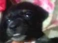 Sem nome