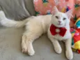 MARIE