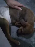 Não tem nome
