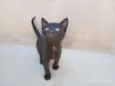 Ainda não Possui