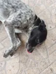 Lucky