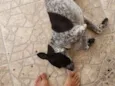 Lucky