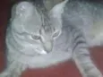 Léo