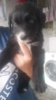 Não tem nome