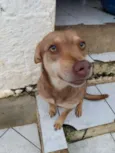 CHIQUINHA