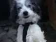 Lupita