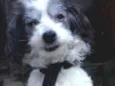 Lupita
