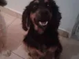 Linda 