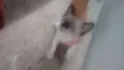 Não tem nome
