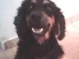 Linda 