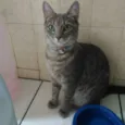 Louise