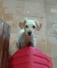 Luke