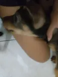 Loki