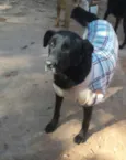 PRETA