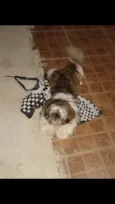 Ted