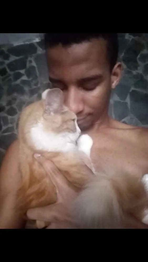 Gato raça Pé dura idade 1 ano nome Samire