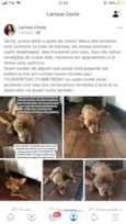 Não tem