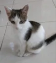 Clara bebê linda