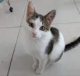 Clara bebê linda